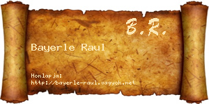 Bayerle Raul névjegykártya